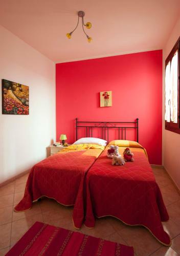 Nuovo Appartamento Rossoarancio