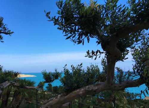 Apartamento Zefiro - San Vito Lo Capo