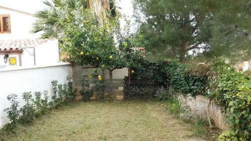Apartamento Casa Il Limone 300m Mare Park E Giardino Priv