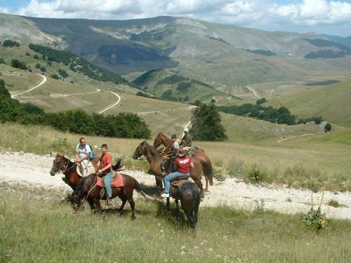 Agroturismo Agriturismo Miralago