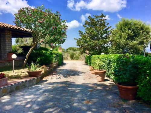 Apartamento Agriturismo Terranera