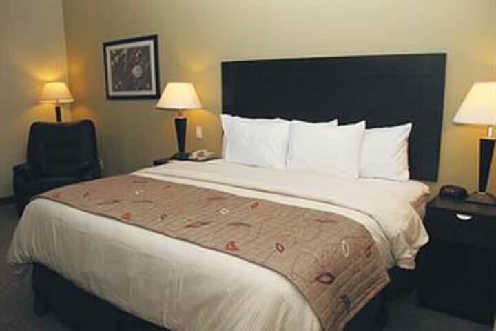 Hotel La Quinta Inn & Suites Austin - Cedar Park
