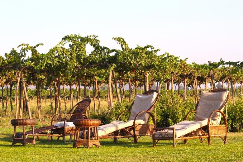 Hotel Vendimia Parador