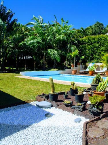 Villa Arbre Du Voyageur, 4 �toiles Et 4 Cl�vacances