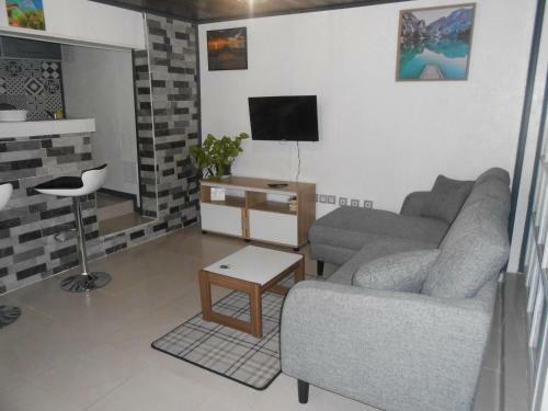 Apartamento Meubl� De Tourisme Les Saules