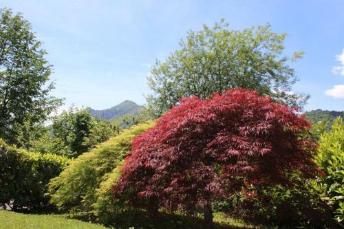 Apartamento Villa Dei Pini