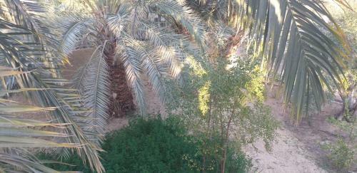 Bed & Breakfast Tazol House