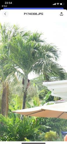 Hostal Ogumka, Self Catering , Beoliere, Mahe