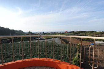 Hostal Jeju Feel House
