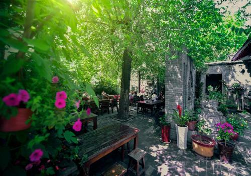 Xi'an Qixian (7 Sages) Youth Hostel