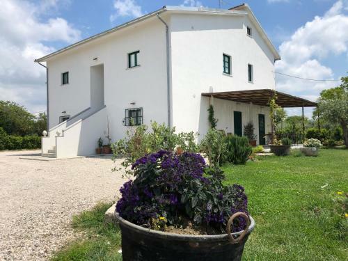 Agroturismo Casa Agricola Scorziello