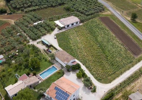Agroturismo Casa Agricola Scorziello