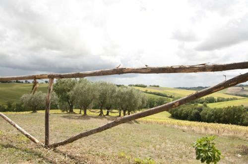 Apartamento Tenuta Tredici Ulivi