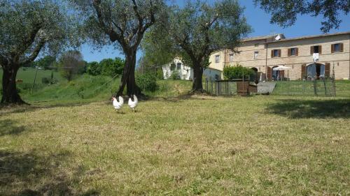 Apartamento Tenuta Tredici Ulivi