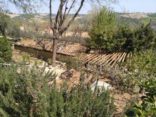 Agroturismo Barbagianni