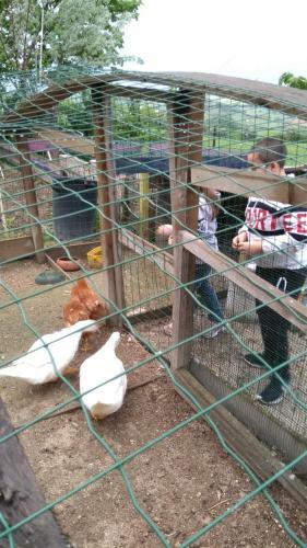 Agroturismo Barbagianni