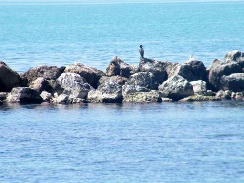 Apartamento Sogni Sul Mediterraneo