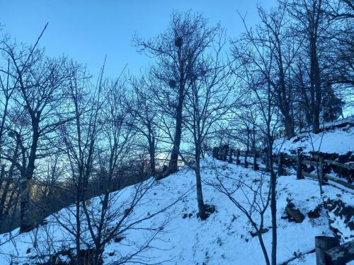 B&B Colle Angaro-azienda Agrituristica