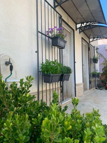 Casa Vacanze Baglio Rizzuto