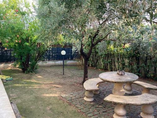 Senigallia Sea Apartment