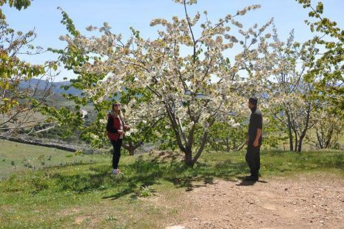 Agroturismo Agriturismo S'armidda
