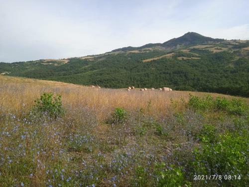 Bed & Breakfast Due Principi E UNA Fata