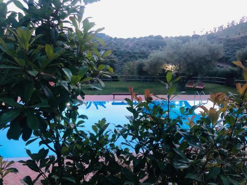 Agroturismo Agriturismo Donnomarco