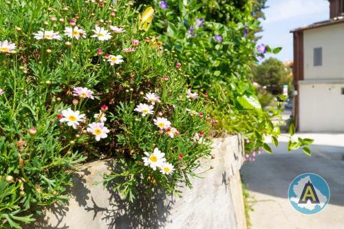 Apartamento Grazioso Appartamento A Due Passi Dal Mare 13c