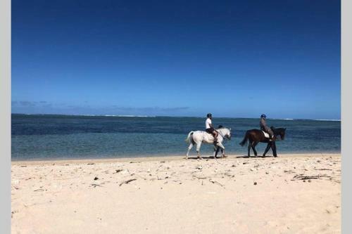 Apartamento Appartement De Luxe Sur La Plage