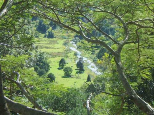 Bed & Breakfast Maleny Tropical Retreat