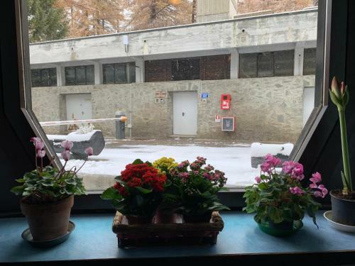 Apartamento Casa Principe Di Piemonte By Holiday World