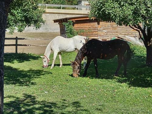Agroturismo Pferdehof Ansteingut