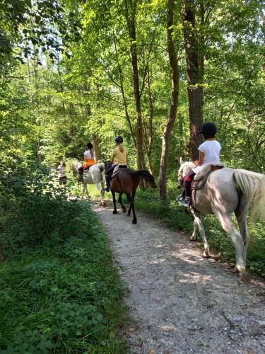 Agroturismo Pferdehof Ansteingut