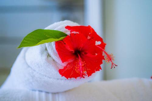 Hostal Cambria Hotel