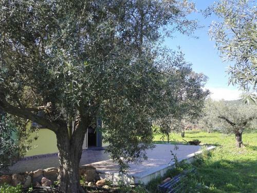 Apartamento Agriturismo "pirastreri"