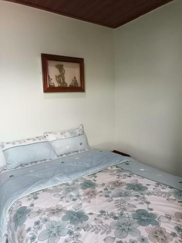 Hostal Room In Apartment - Puma Garden And Suites