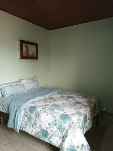 Hostal Room In Apartment - Puma Garden And Suites