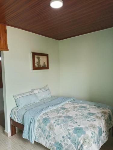 Hostal Room In Apartment - Puma Garden And Suites