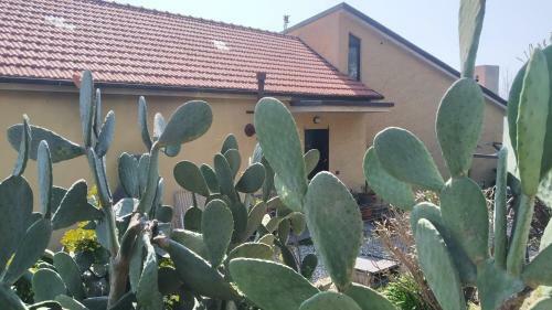 B&B Villa Caterina