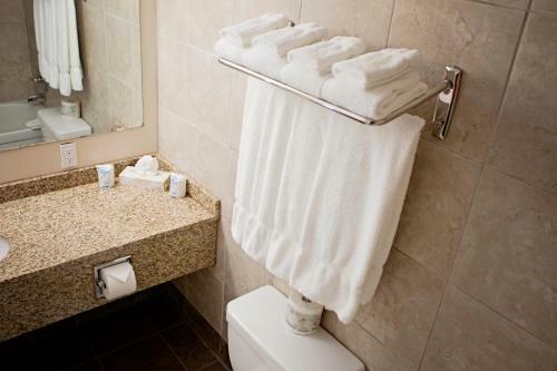 Hotel Best Canadian Motor Inns-lloydminster