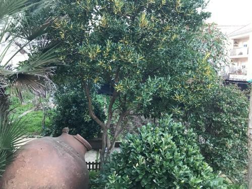 Albergue Las Veletas