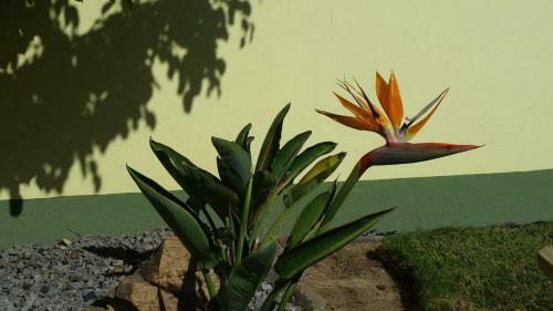 Bed & Breakfast Pension D'avignon