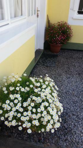 Bed & Breakfast Pension D'avignon