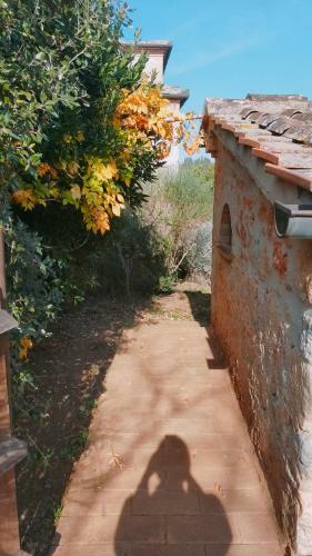 Hostal Cosy Country Room Garden