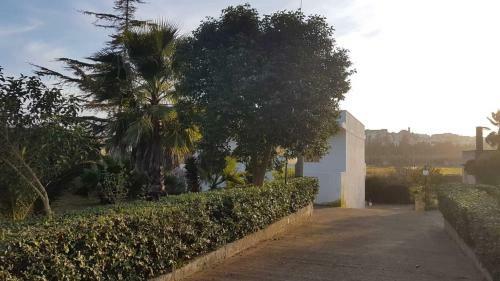 Apartamento Haus Mary Specchia