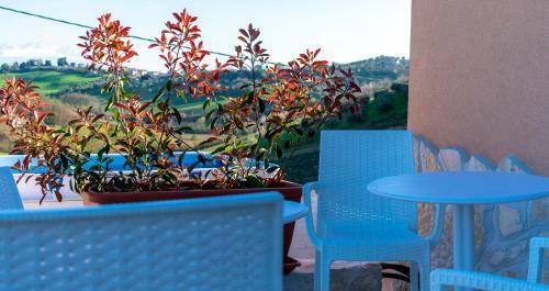 Bed & Breakfast La Casa Del Nonno