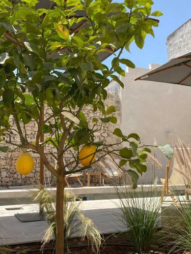 Hotel Tre Bacili