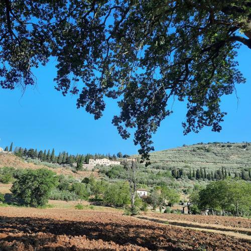 Apartamento La Casa Tra Gli Ulivi