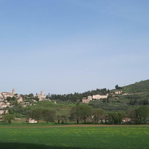 Apartamento La Casa Tra Gli Ulivi