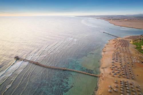 Hotel Albatros Oasis Port Ghalib